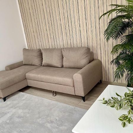Cosy Place To Stay Timisoara Esterno foto