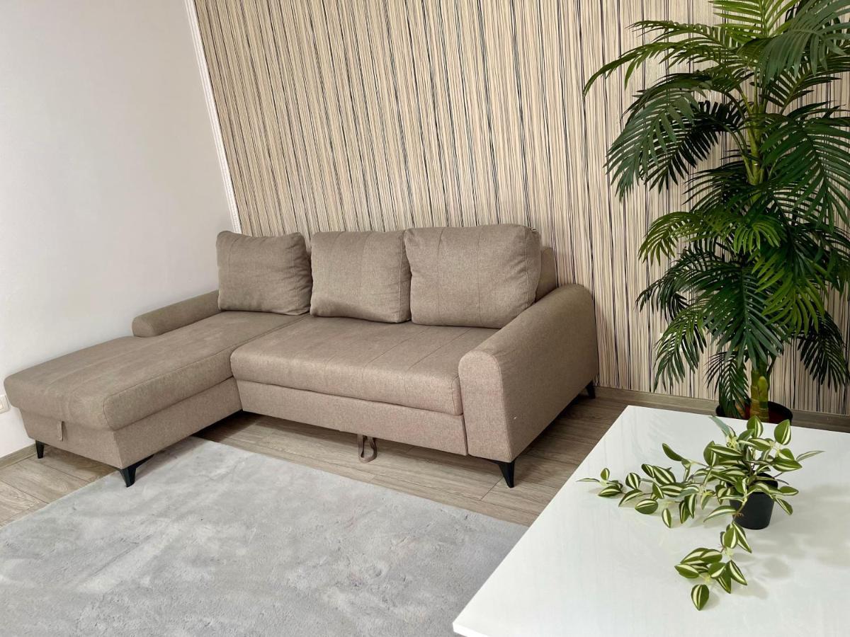 Cosy Place To Stay Timisoara Esterno foto